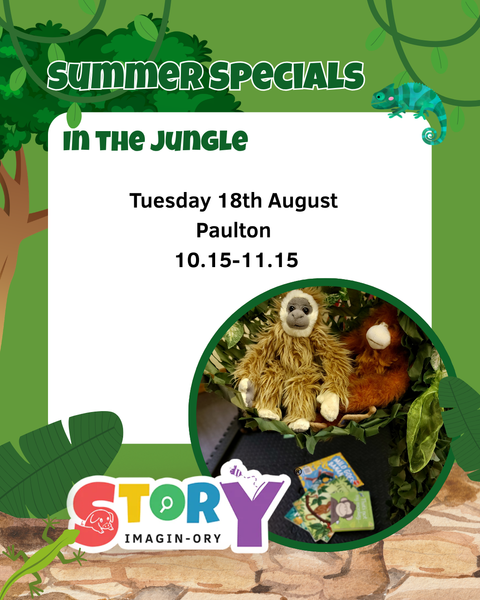 Jungle Stay and Play Paulton